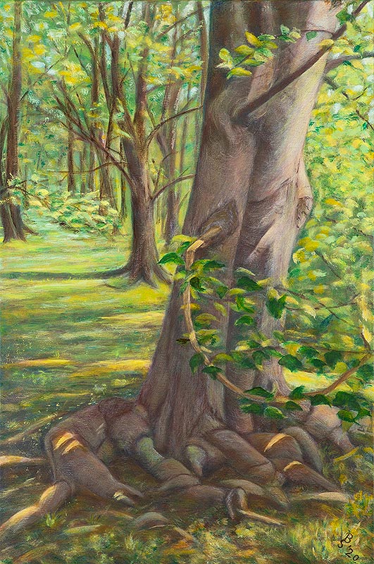 Baum (verkauft)