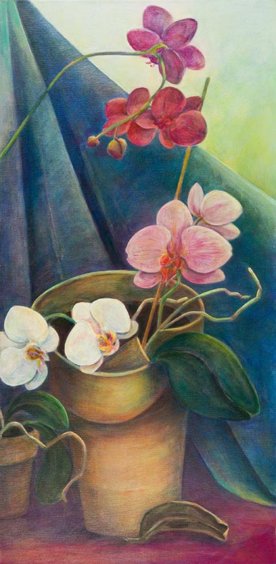 Bunte Orchideen - Acryl auf Leinwand 40 x 80 cm