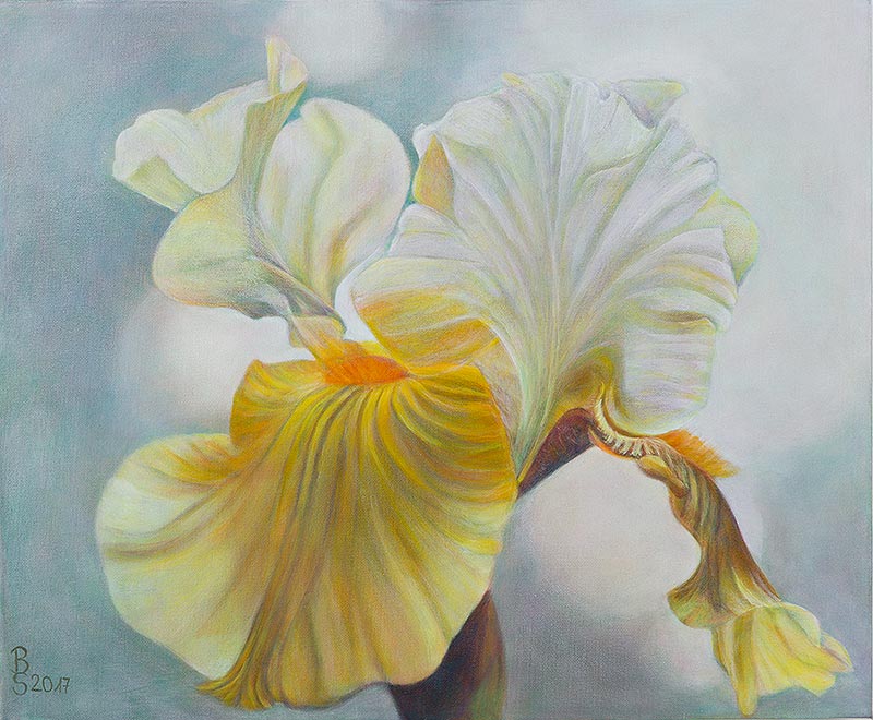 Gelbe Iris - Acryl auf Leinwand 60 x 50 cm