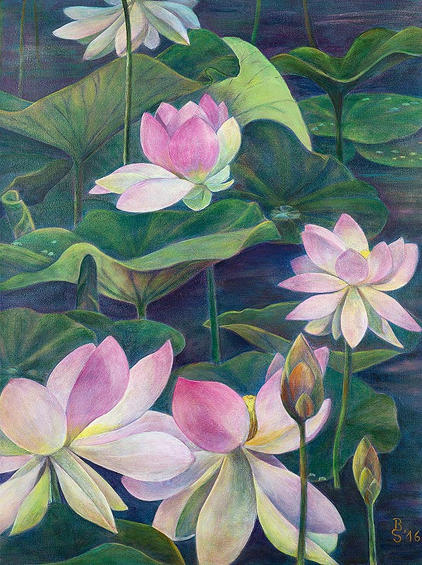 Lotus - Acryl auf Leinwand 60 x 80 cm