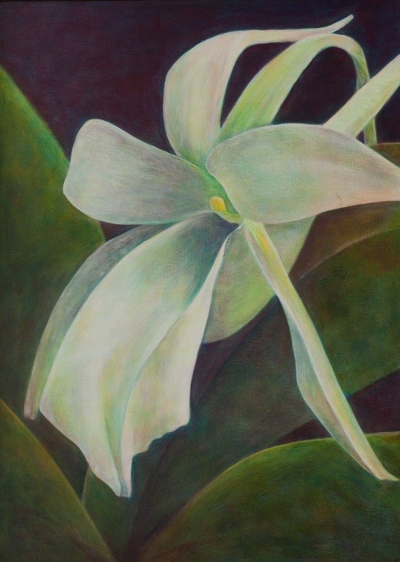 Weiße Orchidee - Acryl auf Leinwand 50 x 70 cm (gerahmt)